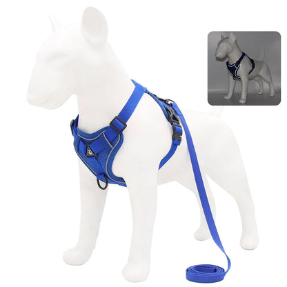 Dog Harness For Small Dog