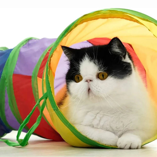 Cat Tunnel Tube Foldable