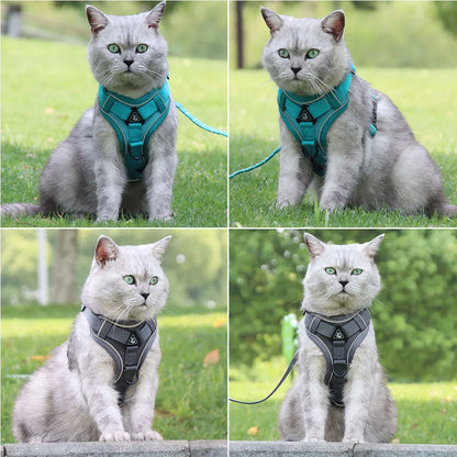 Dog Harness For Small Dog
