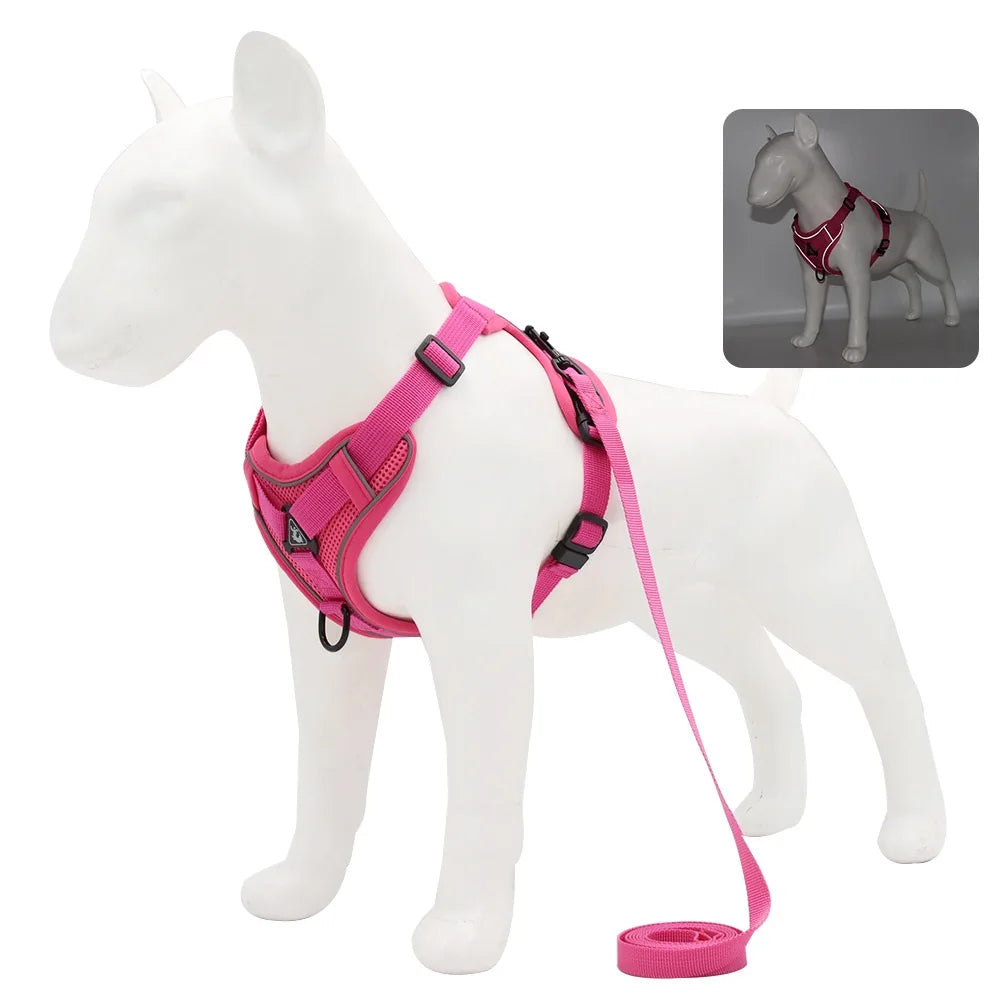 Dog Harness For Small Dog