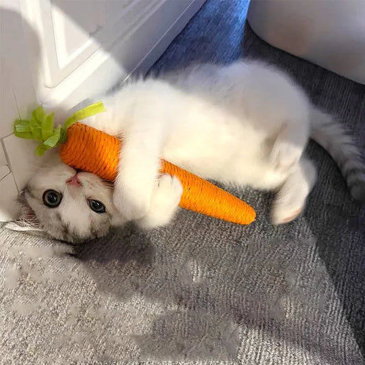 Cat Toys Sound Carrot