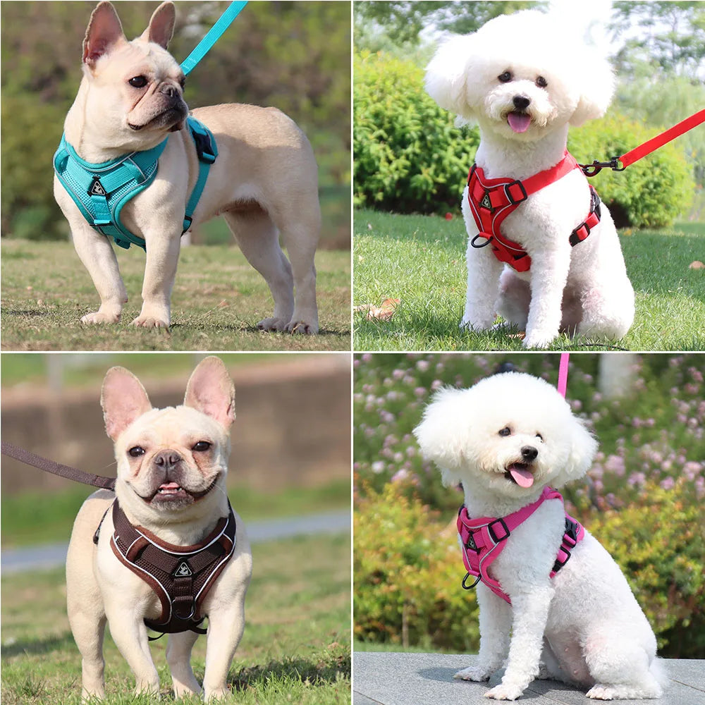 Dog Harness For Small Dog