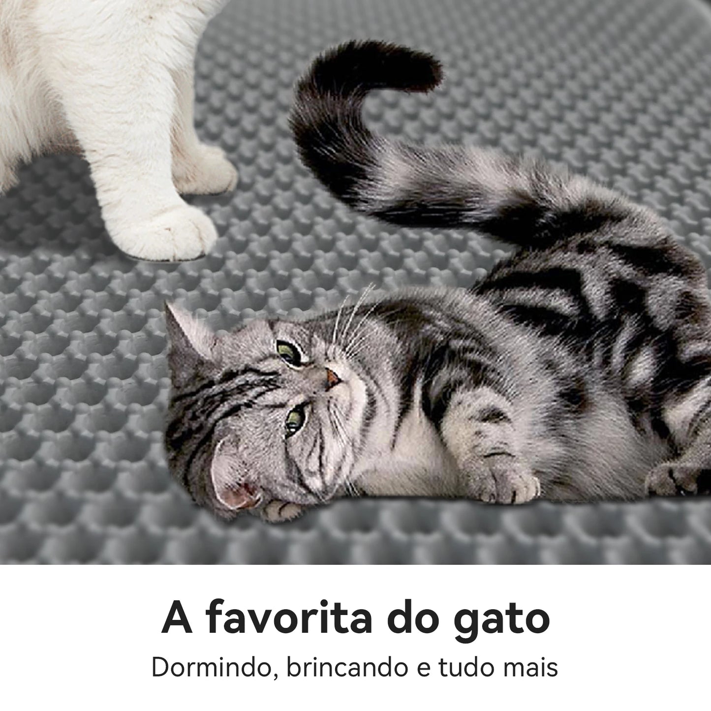 Cat Litter Mat Pet