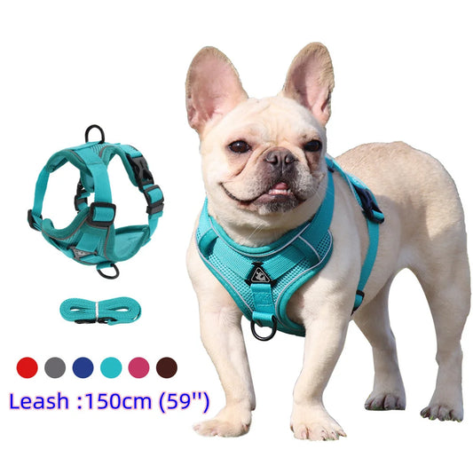 Dog Harness For Small Dog