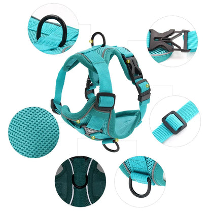 Dog Harness For Small Dog