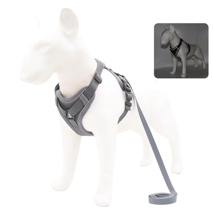 Dog Harness For Small Dog