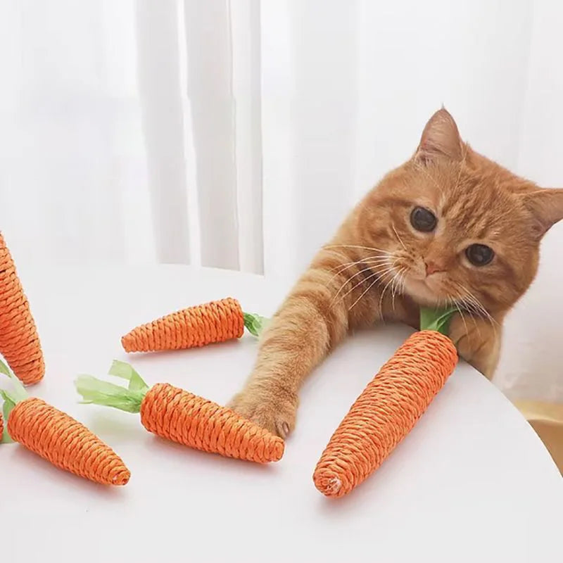 Cat Toys Sound Carrot